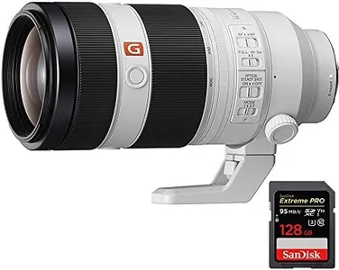 Sony FE 10