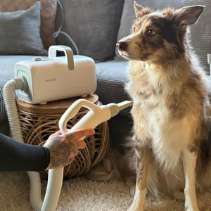 Pecute Dog Hair Dryer – Portable Pet Grooming Blower