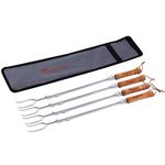 Begatter Marshmallow Roasting Sticks, Smores Sticks for Fire Pit Long, Heavy Duty Hot Dog Roasting Sticks for Campfire, Telescoping Smores Skewers Campfire Sticks, 4PCS with Carry Case