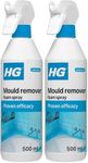 HG Mould Remover Foam Spray, Mould 
