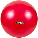 GoFit Exercise Ball Size - 55 CM