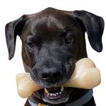 Nylabone Big Chew