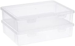 BTSKY Clear Plastic Storage Box wit