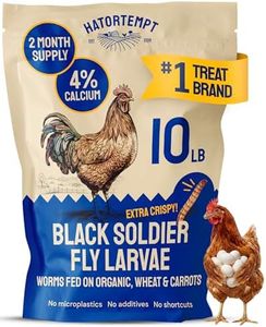 Hatortempt 10lb Black Soldier Fly Larvae for Chickens, Feed for Laying Hens