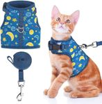 KUTKUT Cat Harness and Leash Set for Outdoor Walks, Training, and Travel - Secure, Soft, Comfortable Cat Vest Harness with Cat Leash - Easy to Use (SIZE L, Adjustable Chest: 42cm - 45cm)