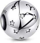 NINGAN Zodiac Star Sign 925 Sterling Silver Bead Charm Fits Pandora, Chamilia & European Charm Bracelets & Necklaces (Aries (03/21-04/20)) (Aries (03/21-04/20))