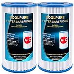 POOLPURE Replacement Filter for Typ
