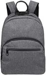 FIREDOG Mini Smell Proof Backpack with Lock for Men Women Travel, Grey, 1 Count (Pack of 1), Traveling