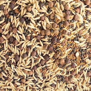 Cover Crop Seed Mix Organic - Pollinator & Bee Friendly Cover Crop Mix - 5 lb Bulk ~34,000 Seeds - Clover Cover Crop Blend - Includes Hairy Vetch Cover Crop Seeds, Crimson Clover, Peas, & Oats