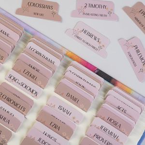 DiverseBee Laminated Bible Tabs with Book Summaries (Large Print, Easy to Read), Personalized Bible Journaling Tabs, 66 Book Tabs and 6 Blank Tabs - Canon Theme
