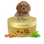 Tell Tails Paw Balm for Dogs | Hydrates & Conditions Paws | Heals Cracked, Rough Paws | Enriched with Vitamin E, Candelilla Wax, Sea Buckthorn Oil & Mint Oil | Restores Moisture, Adds Shine & Protects