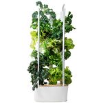 Gardyn 1.0 Hydroponics Growing System & Vertical Garden Planter | Indoor Smart Garden| Includes 30 Non-GMO Indoor Plants, Herbs & Vegetables & LED Grow Lights for Your Home Indoor Gardening System