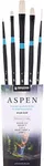 Princeton Aspen 6500 5pc Profession