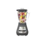 Oster Blender