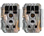 BlazeVideo Waterproof Motion Activated Night Vision Trail Camera with Infrared Night Vision, Omnidirectional Audio, and Time Lapse Feature (2 Pack)