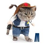 Halloween Costumes For Cats