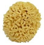 Newven™ Sea wool baby bath sponge for natural healthy bathing dishes loofah sponges,6 inch