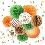 NICROLANDEE Birthday Party Decorations - 12PCS Forest Animal Friends Tissue Pom Poms Paper Lantern Confetti 50G for Woodland Baby Shower, Gender Neutral Forest Decor, Jungle Animal Party Supplies