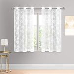 DWCN White Floral Lace Sheer Curtains - Grommet Voile Sheer Drapes for Bedroom Kitchen Short Curtains 42 x 54 inch Length, Set of 2 Window Curtain Panels