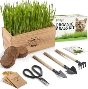 Organic Cat Grass for Indoor Cats - 4X Seed Packets | Pet Cat Grass Kit for Growing Wheat Grass w Planting Seeds, Tools & Planter