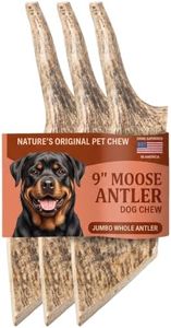 Mountain Valley Moose Antlers for Dogs Chew Whole Dog Antler,Jumbo, 3Pack | Natural Chew for Aggressive Chewers, Long Lasting Antler Chews Treat for Dogs, Nutrition for Dogs, Whole Jumbo (3 Pack)