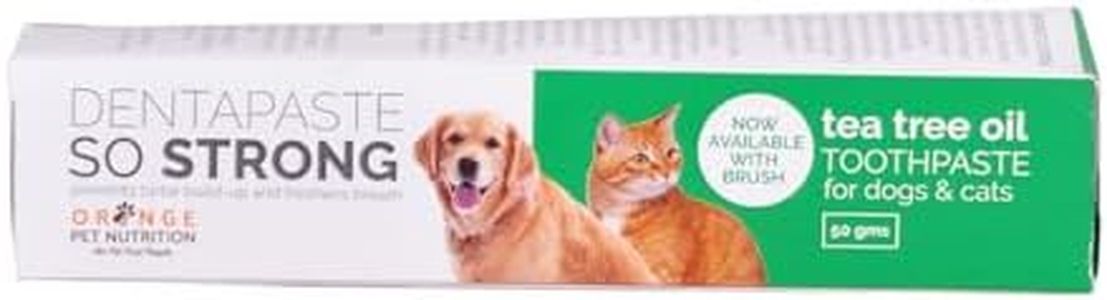 Orange Pet