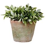 Esschert Design Indoor Plants