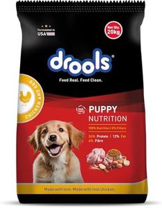 Drools Pup