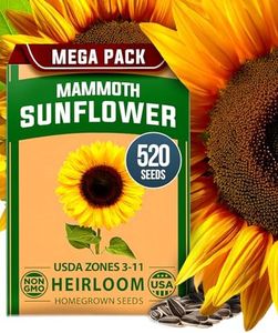 Home Grown Sunflower Seeds to Plant | 520+ Giant Mammoth Sunflower Seeds for Planting Bulk Packet | Heirloom, High Germination, Easy to Grow Jumbo Sun Flower Seeds for Home Garden (Helianthus annuus)