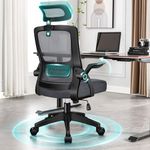 ELFORDSON Home Office Chair with Flip-up Armrests Headrest Footrest, Ergonomic Desk Chair Swivel with Built-in Lumbar Support, Computer Gaming Chair Mesh Chair, Dark Grey