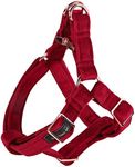 ARING PET Velvet Dog Halter Harness-Soft Heavy Duty Dog Halter Harness, Adjustable No Pull Red Velvet Dog Harness for Small Medium Large Dogs