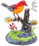 Zest 4 Toyz Heartful Bird Cool Sound Activated Heartful Singing Flapping Parrot Bird & Pen Holder Home Decor (Multicolot)