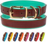 CollarDirect Leather Dog Collar Brass Buckle Soft Padded Puppy Small Medium Large Red Pink Blue Green Purple Yellow (Neck Fit 12"-14", Mint Green)