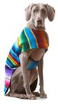 Dog Clothes - Handmade Dog Poncho from Authentic Mexican Blanket by Baja Ponchos (Blue, X-Large)