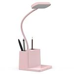 AXX Cute Desk Lamp, Pink Desk Light