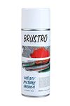 Brustro Artist's Picture Varnish Spray Can | Gloss Finish |400ml|Perfect Coating on Acrylic Painting,Watercolours,Oil Paints,Non-Yellowing,Non Toxic,Transparent,Canvas,Paper, Artwork Protection.