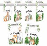 6 Woodland Hanger Dividers Baby Closet Size Dividers - Baby Essentials For Newborn Essentials, Baby Closet Dividers, Baby Closet Organizer For Nursery Organization, Nursery Closet Dividers Neutral