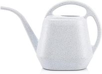 Fasmov Plastic Watering Can, 1-Gallon