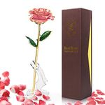 Gold Dipped Rose 24k: Yolife 24k Gold Dipped Real Rose Lasted Forever with Transparent Stand, Best for Her - for Valentine’s Day Mother’s Day Girlfriend Wife Birthday Wedding Flowers (Pink)