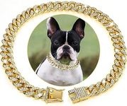 Golden Dog Chain Diamond Cuban Coll