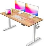 FEZIBO Electric Standing Desk, 55 x