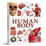 Knowledge Encyclopedia: Human Body