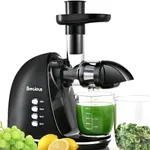 Slow Masticating Juicer,Brecious Co