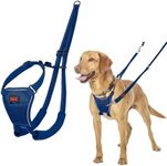 Halti No Pull Harness - Stop Your Dog Pulling on the Lead. Adjustable, Lightweight and Easy to Use. Reflective Dog Training Harness for Medium Dogs (Size M, Cobalt Blue)