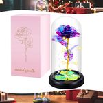 Valentines Day Gifts Galaxy Rose for Her,Light Up Rose Flowers Gift Birthday Gifts for Women Mom Girlfriend Wife,Forever Glitter Rose In A Glass Dome Eternal Rose for Valentines/Mothers Day Christmas