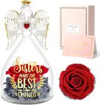 Sunia Preserved Rose Birthday Gifts