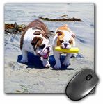 3dRose LLC 8 X 0.25 Inches The English Bulldog Stroll Pattern Mouse Pad (mp_46505_1)