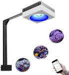 PopBloom RL90 100 Watts Aquarium LE