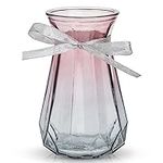 Krystelix Elegant Glass Flower Vase
