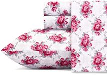 Betsey Johnson - Queen Sheets, Soft & Lightweight Bedding, Fade & Wrinkle Resistant (Skull Rose Trellis, Queen)